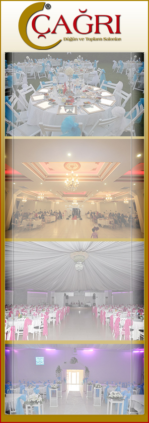 organizasyon