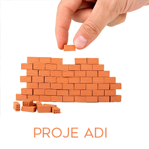 PROJE